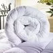 Одеяло «Заменитель лебяжьего пуха» Одеяло «Заменитель лебяжьего пуха»